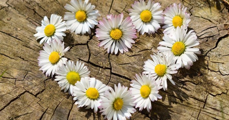 Bake Yourself Better in Mental Health Awareness Week