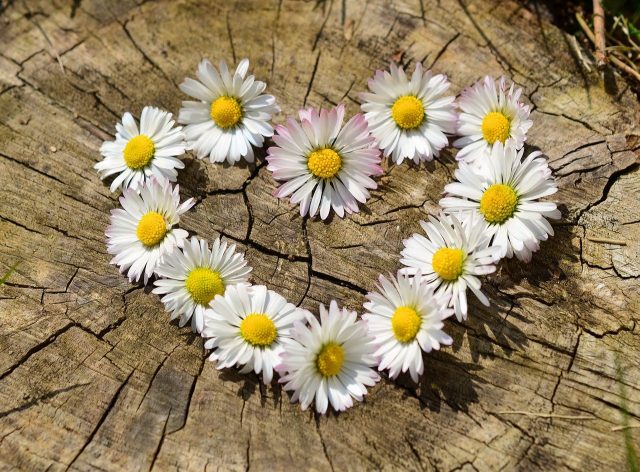 Bake Yourself Better in Mental Health Awareness Week