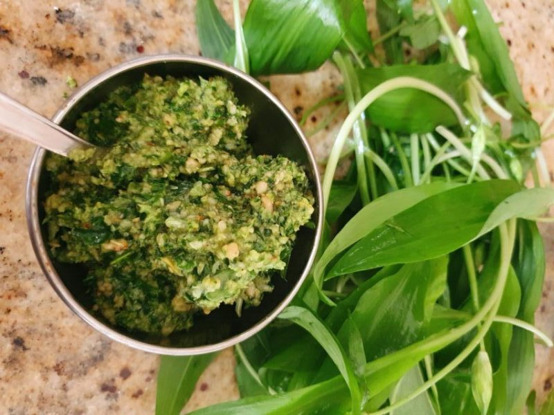 Wild Garlic Pesto